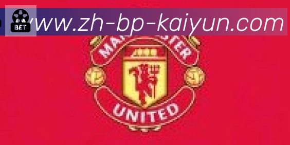 开云APP合作伙伴